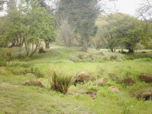 Brook Lodge