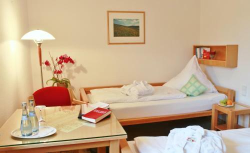 Hotel Witikohof
