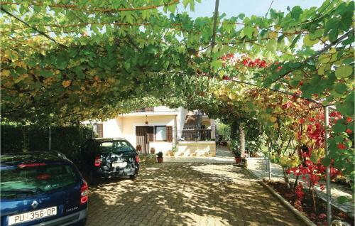 Apartment Ograda VI