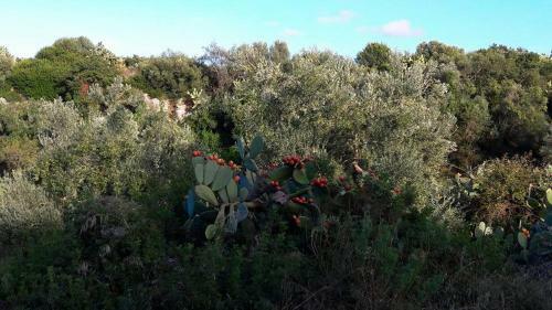 Agroturismo Posta Santa Croce