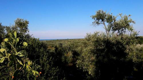 Agroturismo Posta Santa Croce