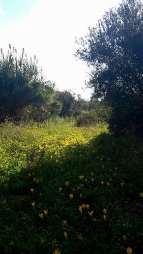 Agroturismo Posta Santa Croce