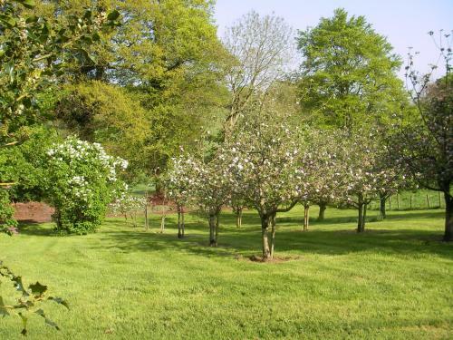 Bed & Breakfast Grange Lodge Country House