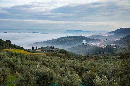 Agroturismo Podere Midolla