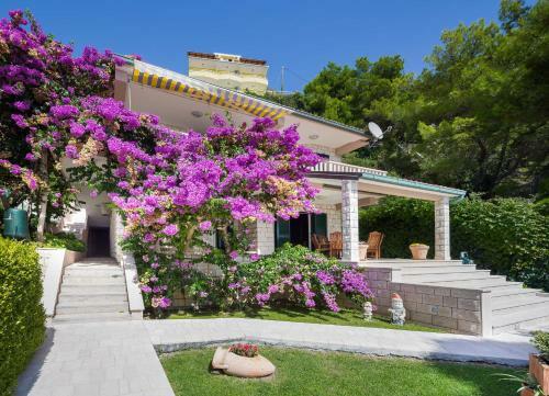 Villa Purple Rain