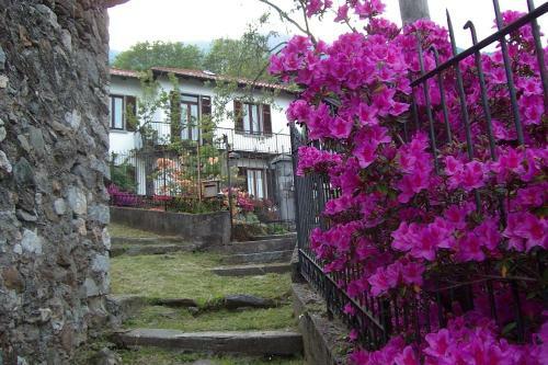 B&B Al Mutpron