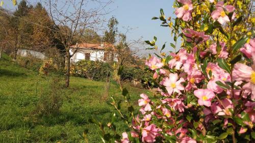 B&B Al Mutpron