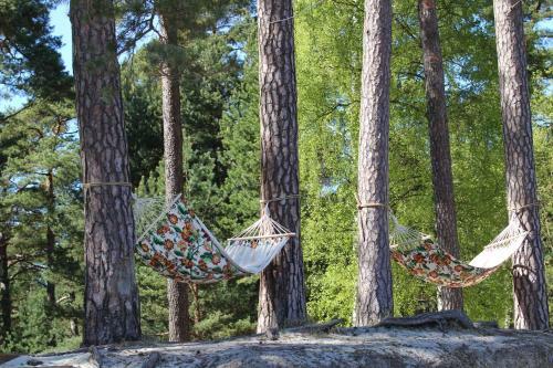 Bb Camping