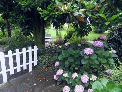 Bed & Breakfast Cuore Verde