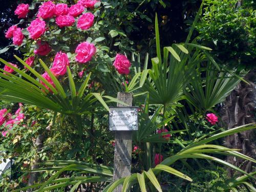 Bed & Breakfast Cuore Verde