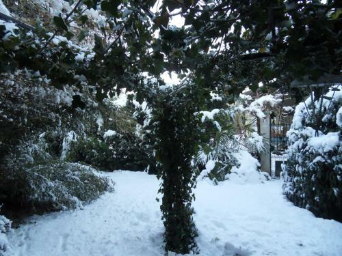 Bed & Breakfast Cuore Verde