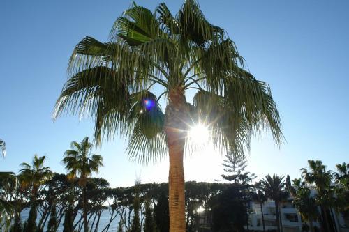Hotel Marina Mariola Marbella