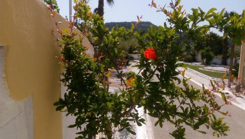 Apartamento Mosaic Gardens