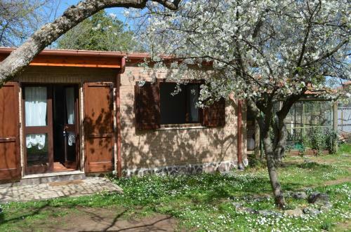 Tenuta Colle Mattia