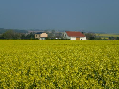 Hostal G�stehaus Schirner