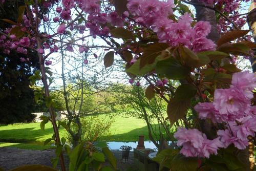 B&B Bloom