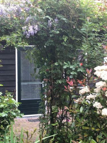 B&B Bloom