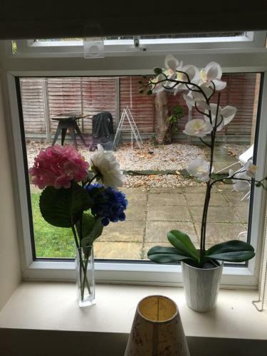 Hostal Bradwell Common Guesthouse