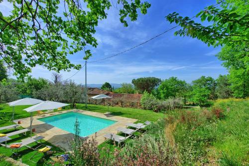 Tenuta Il Pino Morandi