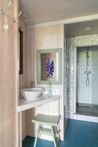 Bed & Breakfast De Opkeamer