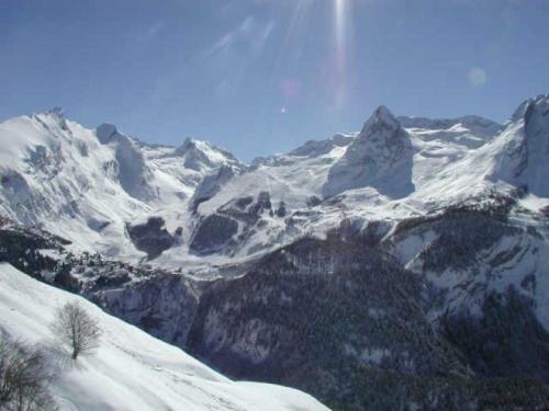 Rental Apartment Le Chalet 14