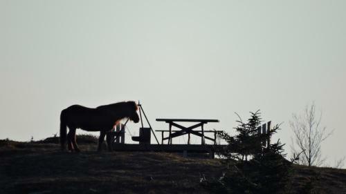 Agroturismo Hammar�n