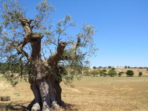 Apartamento Villa Murgese