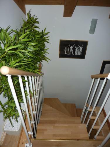 Bed & Breakfast Casa Yami