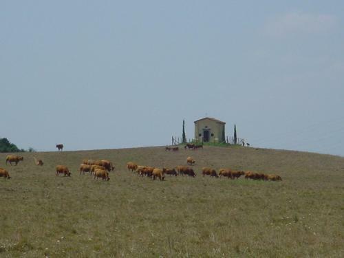 Bed & Breakfast Il Cipresso