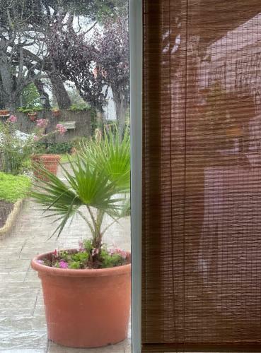 Bed & Breakfast Marineda
