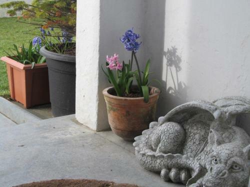 Bed & Breakfast Bosayne Guest House