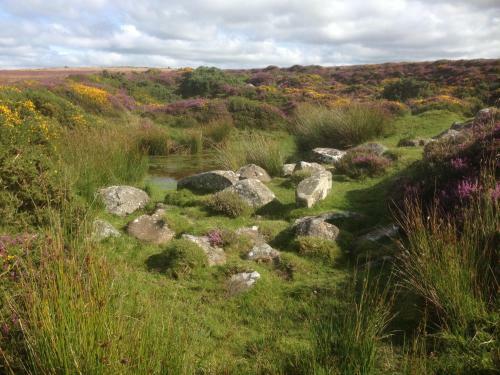 Bed & Breakfast Steeple View