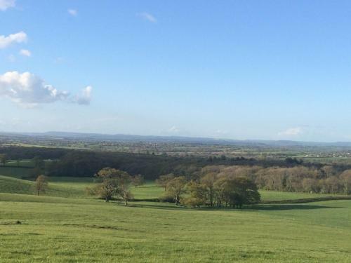 Bed & Breakfast Higher Melcombe Manor