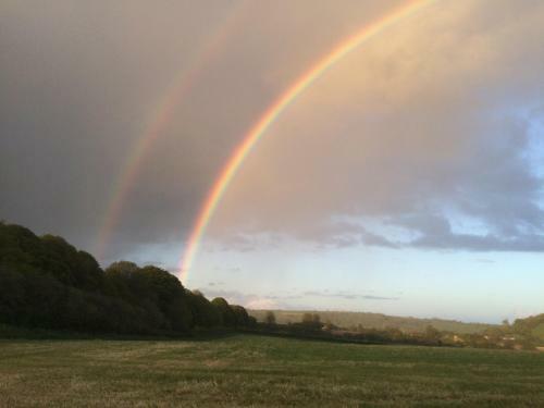 Bed & Breakfast Higher Melcombe Manor