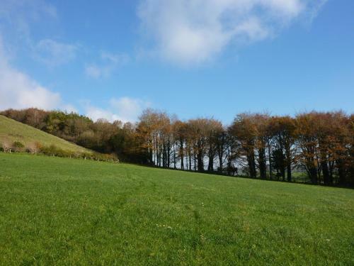 Bed & Breakfast Higher Melcombe Manor