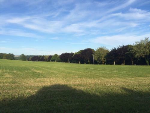 Bed & Breakfast Higher Melcombe Manor
