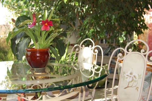 Bed & Breakfast Couette Et Cafe Cr�me
