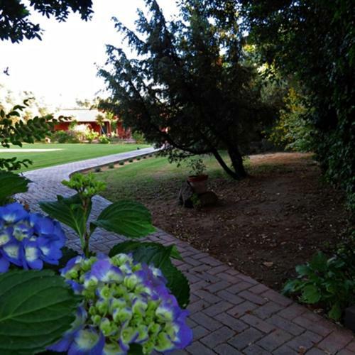 Agroturismo L'orto
