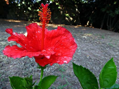 Agroturismo L'orto