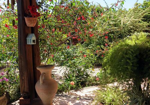 Agroturismo L'orto
