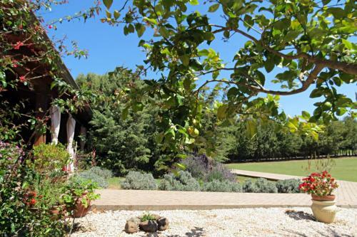 Agroturismo L'orto