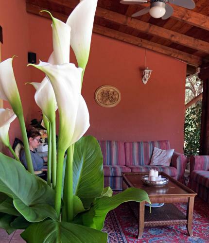 Agroturismo L'orto