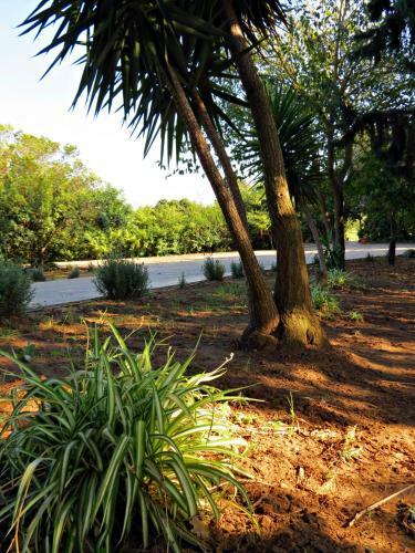 Agroturismo L'orto