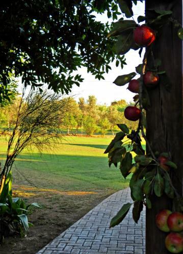 Agroturismo L'orto