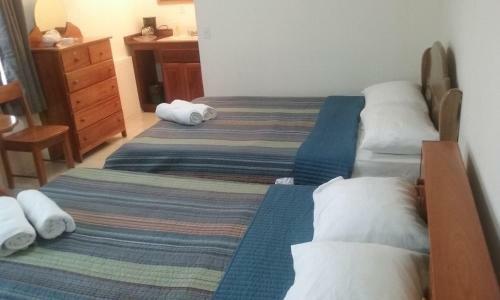Hostal Sugar Patch Inn