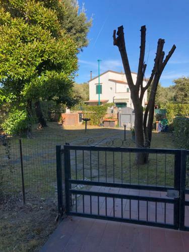 Apartamento Magnolia