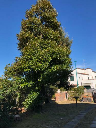 Apartamento Magnolia