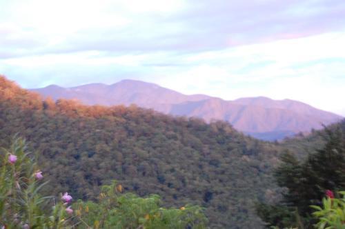 Hostal Bosque Del Tolomuco