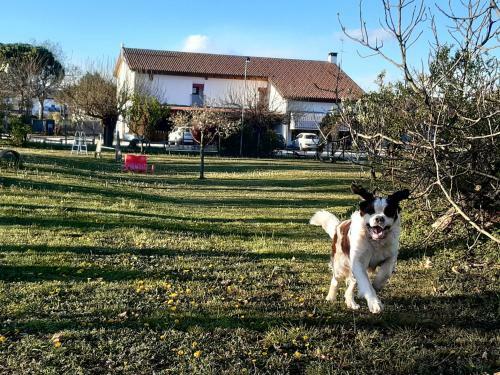 Agroturismo Il Podere