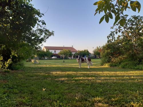 Agroturismo Il Podere